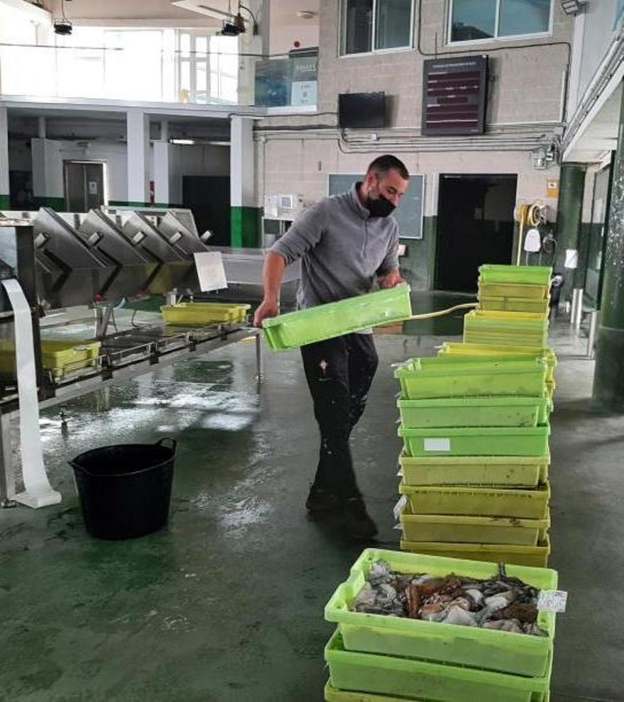 Un marinero apilando ayer las cajas con las capturas de pulpo. |   // G.N.