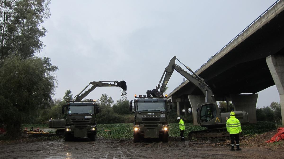 Iniciados los trámites para el uso industrial del camalote extraído del río Guadiana