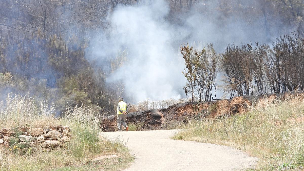 Un hombre camina cerca de terreno calcinado en Larouco.