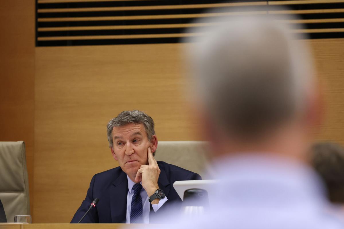 El presidente del PP, Alberto Nuñez Feijóo, comparece en la Comisión de investigación de la Dana, en el Congreso.