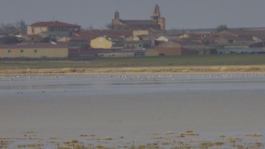 Fábricas de sal prehistóricas en Villafáfila