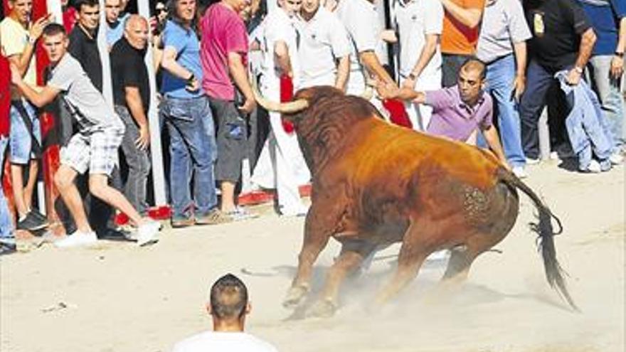 Un ‘despiste’ del Consell Valencià de Cultura tumba el BIC para los toros