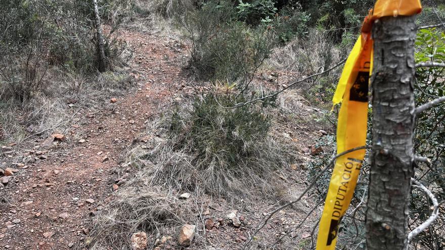 Las imágenes de cómo ha quedado la pista ilegal abierta en la Vilavella para practicar BTT