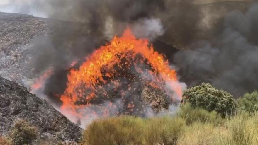 Declarado un incendio en una zona de barranco de Beneixama