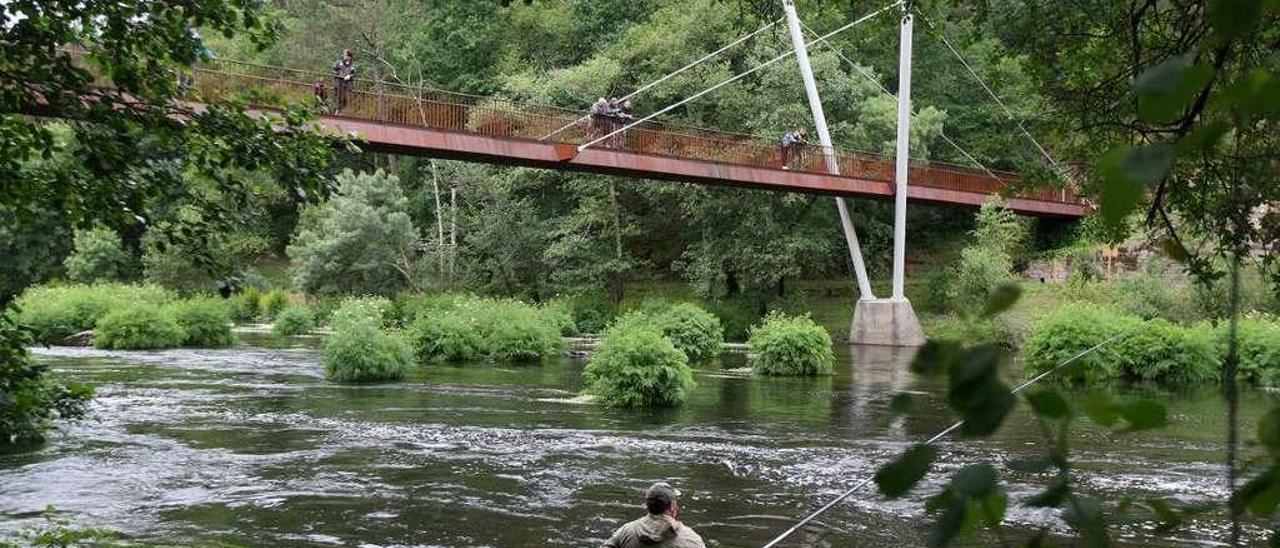 Un pescador en las aguas del Ulla, en el coto salmonero de Ximonde. // Bernabé/Cris M.V.