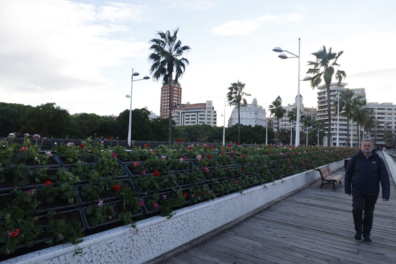 Comienzan a replantar el Puente de las Flores