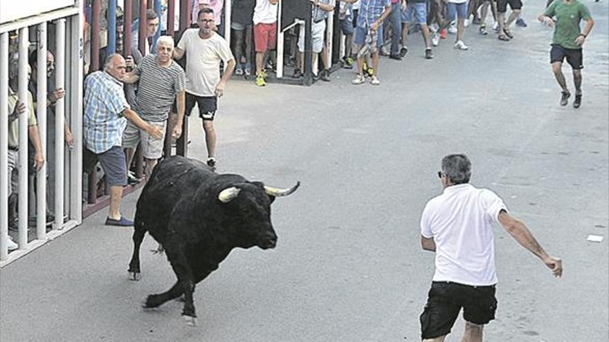 Los actos taurinos lideran el programa de Sant Roc