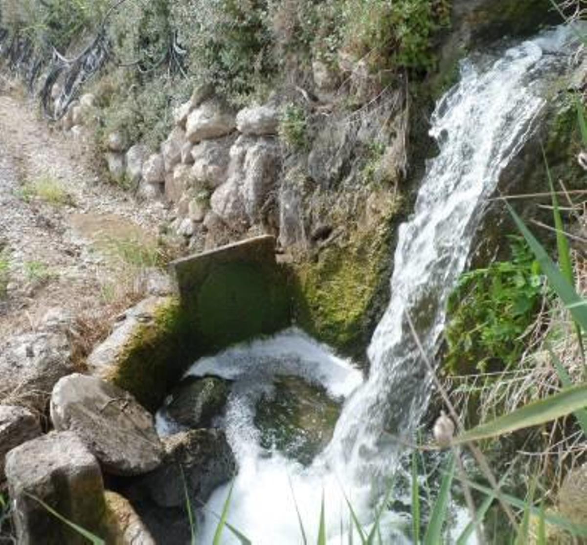 El germen de la huerta alicantina