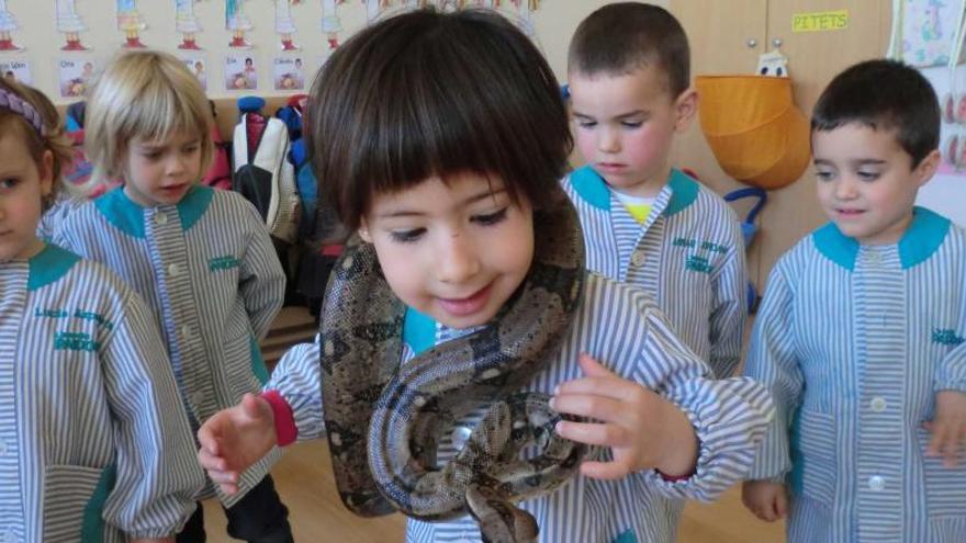 La llar d&#039;Infants de l&#039;Escola Paidos acull animals exòtics a l&#039;aula