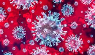 "Habrá nuevas pandemias, probablemente de gripe o coronavirus"