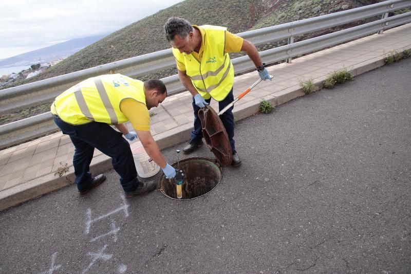 Campaña urgente contra plagas