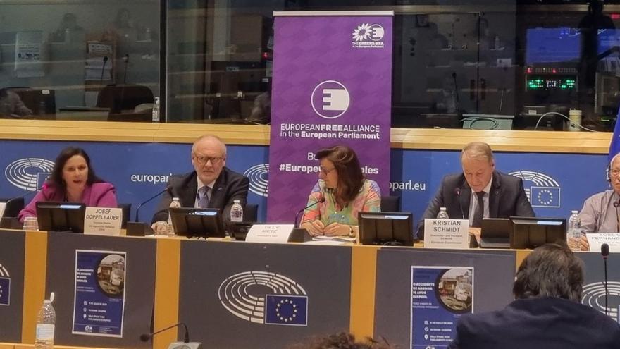 Jornadas organizadas por elBNG sobre el Alvia en el Parlamento europeo.  | // FDV