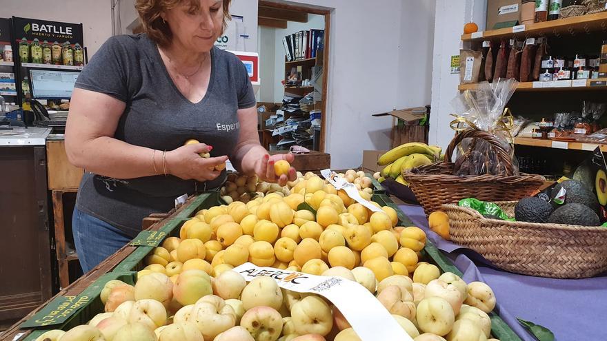 La campaña de producción del albaricoque de Porreres cae en picado