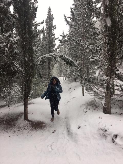 Nieve en el Puerto de la Cadena