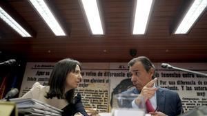 Mercedes González, directora general de la Guardia Civil, durante su comparecencia en el Senado. Junto a Fernando Martínez Maillo, presidente de la comisión.