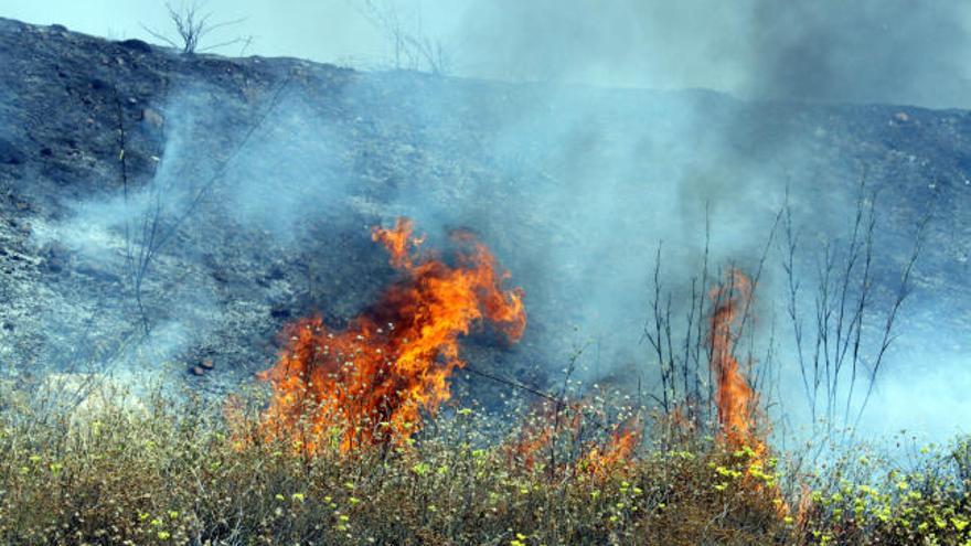 Extinguido el incendio declarado en Trencacaps