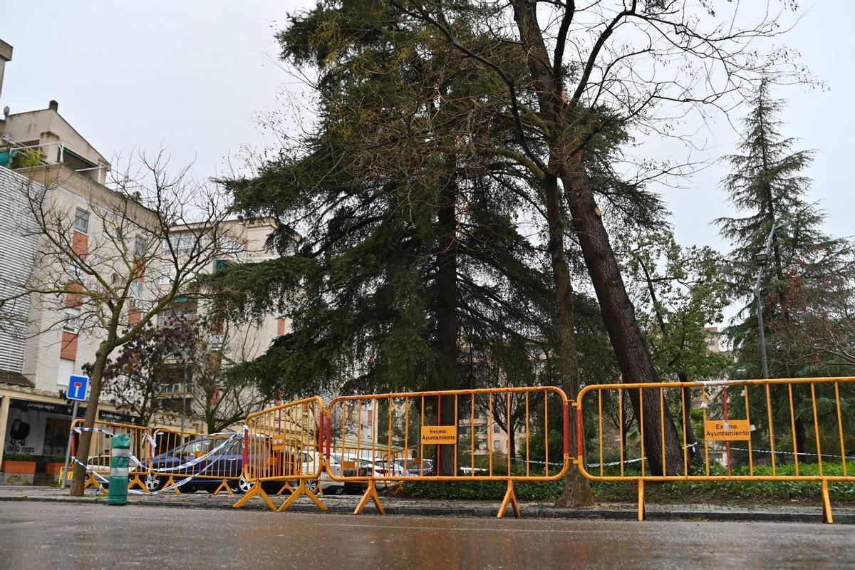 Fotogalería | Imágenes del temporal en Badajoz, este sábado