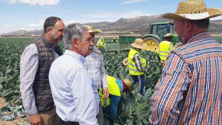 Miguel Ángel Revilla visita La Hoya de Lorca y es distinguido como gran ‘Embajador del brócoli’