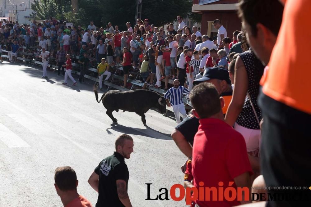 Primer encierro de Calasparra