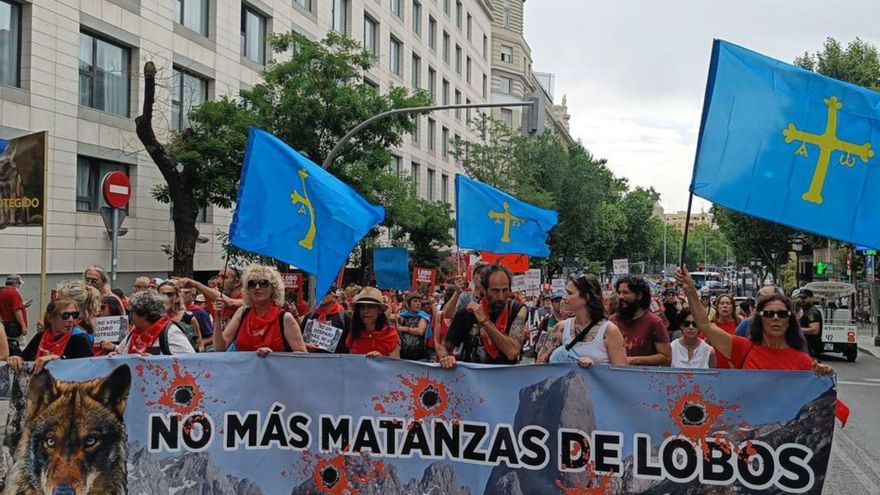 Manifestación en Madrid contra la desprotección del lobo |