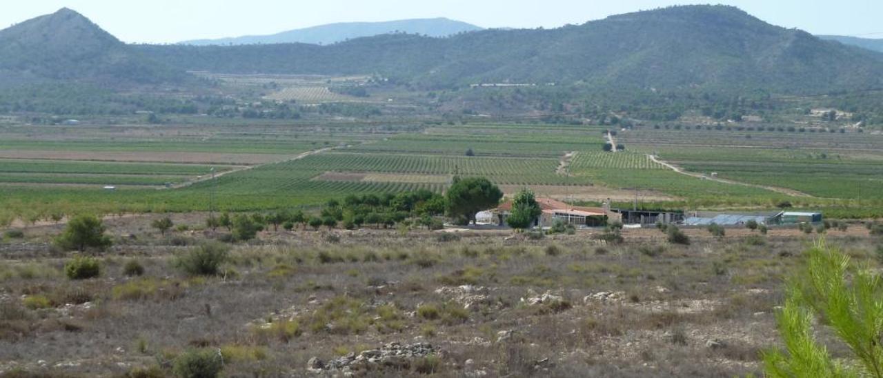 Los terrenos de Monóvar donde se proyecta ubicar una central solar de 600 hectáreas.