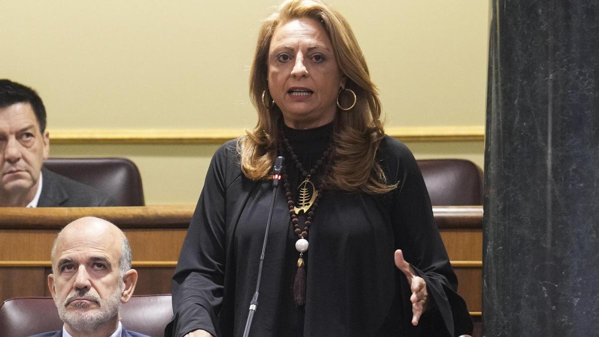 Cristina Valido en el Congreso.