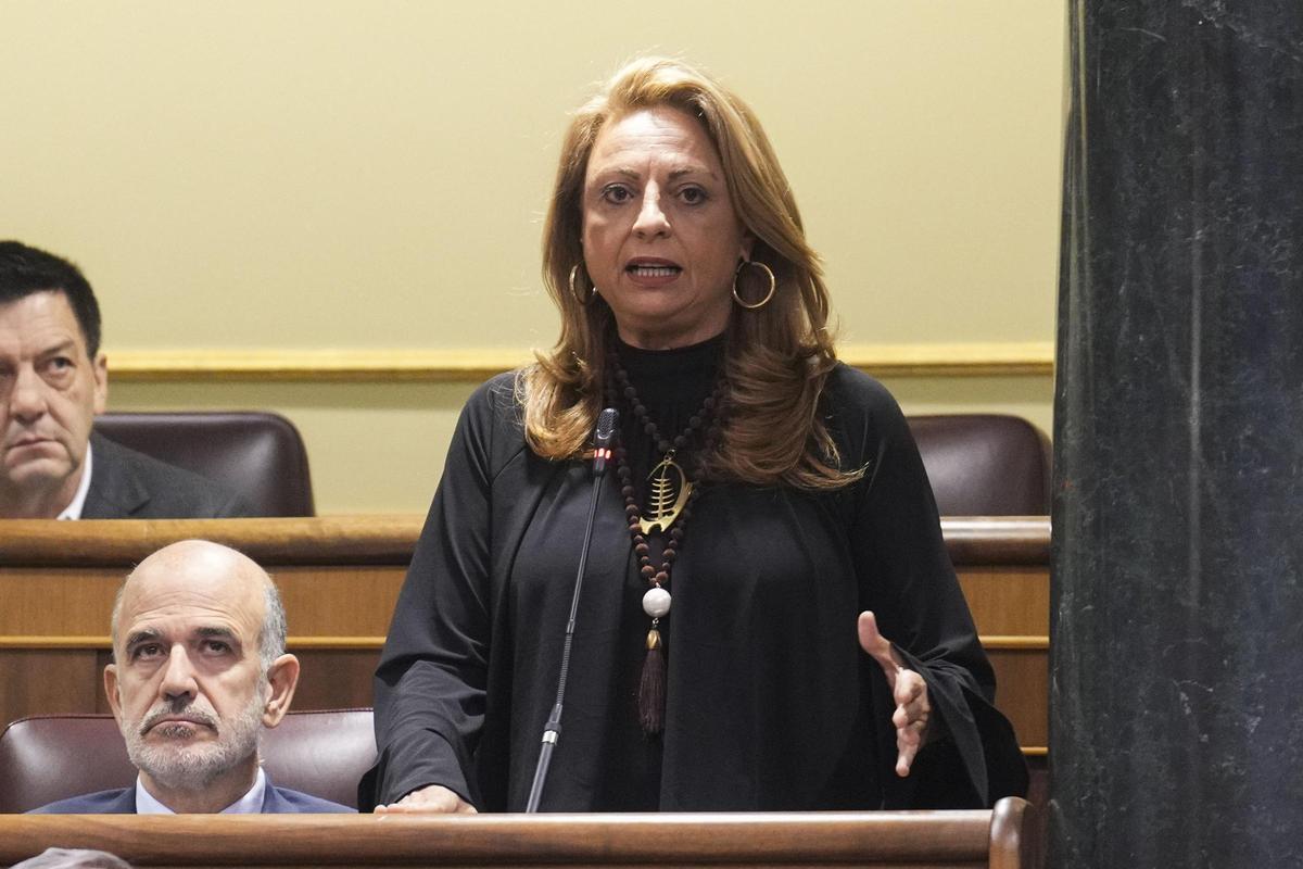 Cristina Valido en el Congreso.