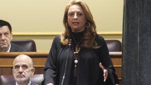 Cristina Valido en el Congreso.