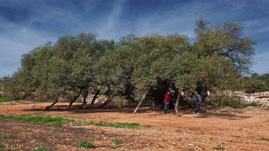 Canet lo Roig, destino para sibaritas este fin de semana