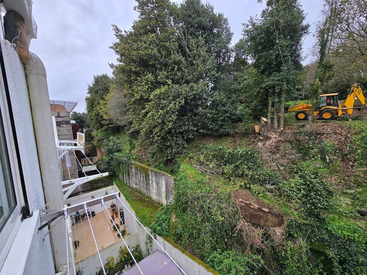 La tala de árboles en el Parque Valdés Bermejo para garantizar la seguridad ciudadana.