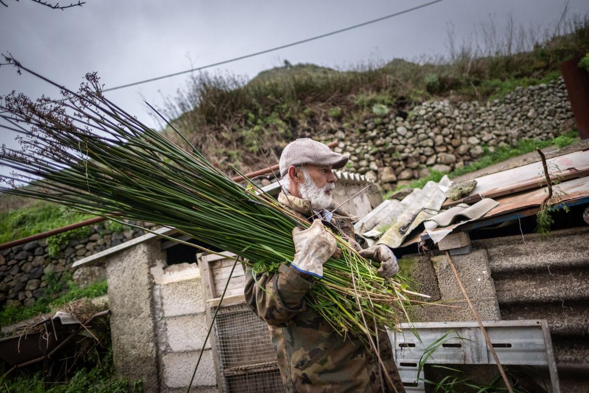 Así es la vida en Las Portelas, localidad de Buenavista del Norte con apenas unos pocos habitantes.