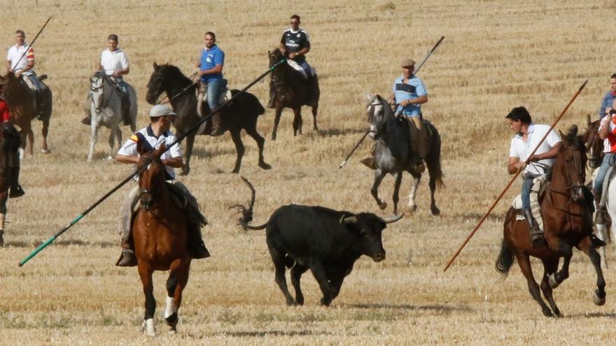 Carbajales revivirá los Espantos