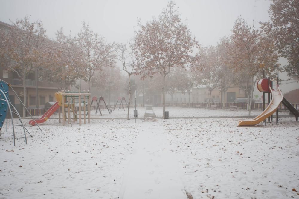 Zamora, cubierta de blanco por la cencellada