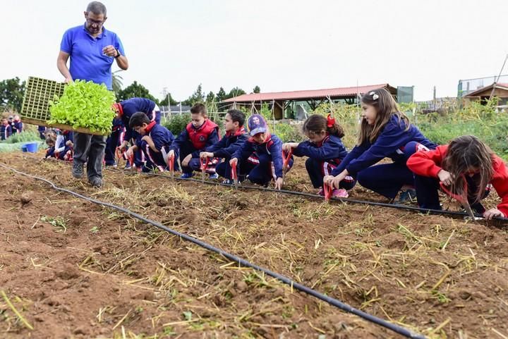 Visita escolar a la Granja Agricola del Cabildo