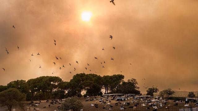 Una imatge de la Vall d’Uixó (Castelló), afectada pel foc. | ANDREU ESTEBAN / EFE