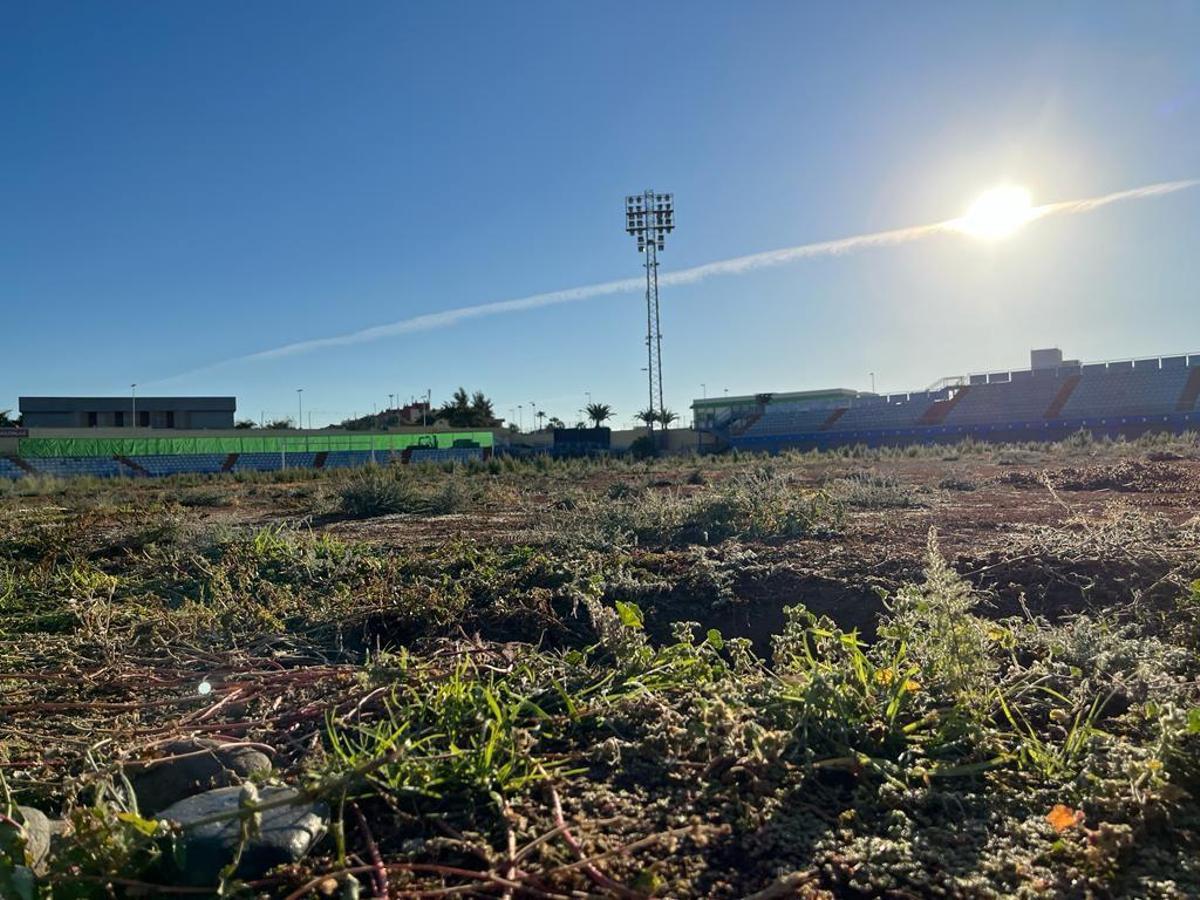 Imagen reciente del césped del estadio de Maspalomas.