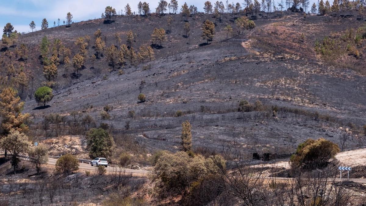 Controlado el incendio de Almonaster tras seis días