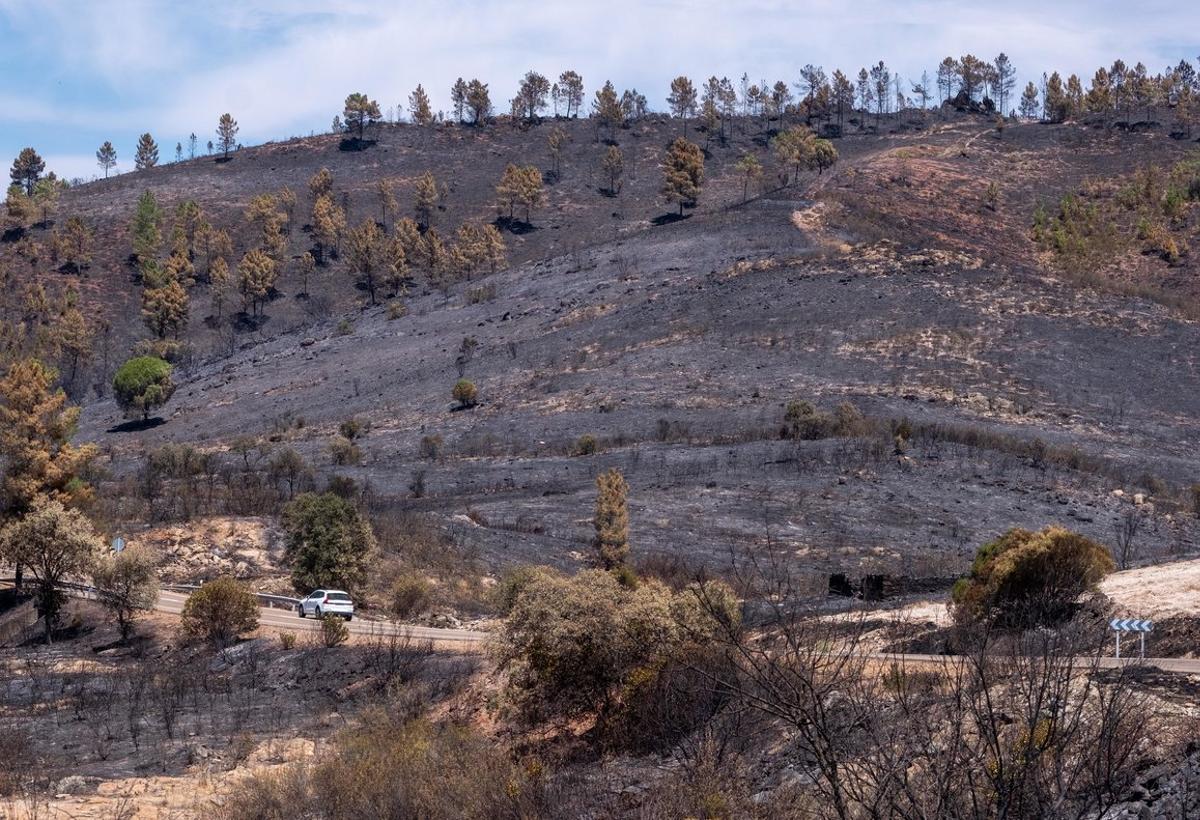 -FOTODELDÍA- GRAFAND1819. CUEVA DE LA MORA (HUELVA), 31/08/2020.- Monte quemado en el término municipal de Zalamea la Real (Huelva). El Plan Infoca ha dado por estabilizado el incendio forestal declarado el pasado jueves en el paraje Olivargas del término municipal de Almonaster la Real (Huelva), que ha afectado a un perímetro de más de 10.000 hectáreas.EFE/Julián Pérez