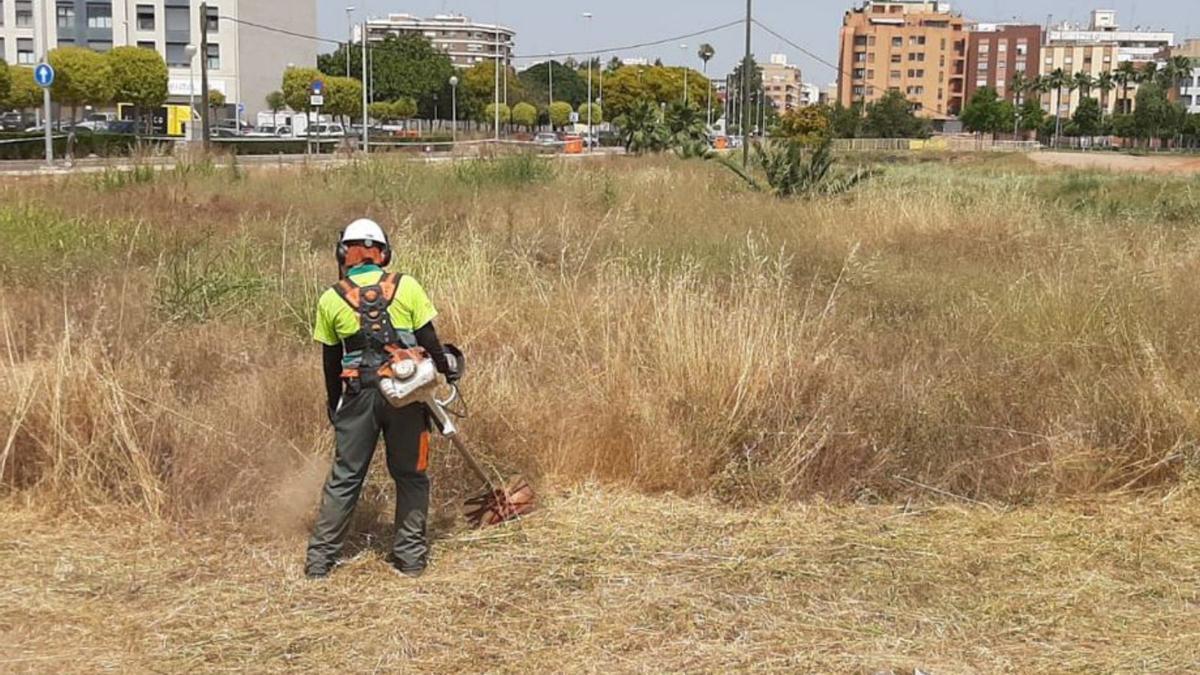 Un operario desbroza la maleza en las inmediaciones del Molí la Vila. | JOSEP CARDA