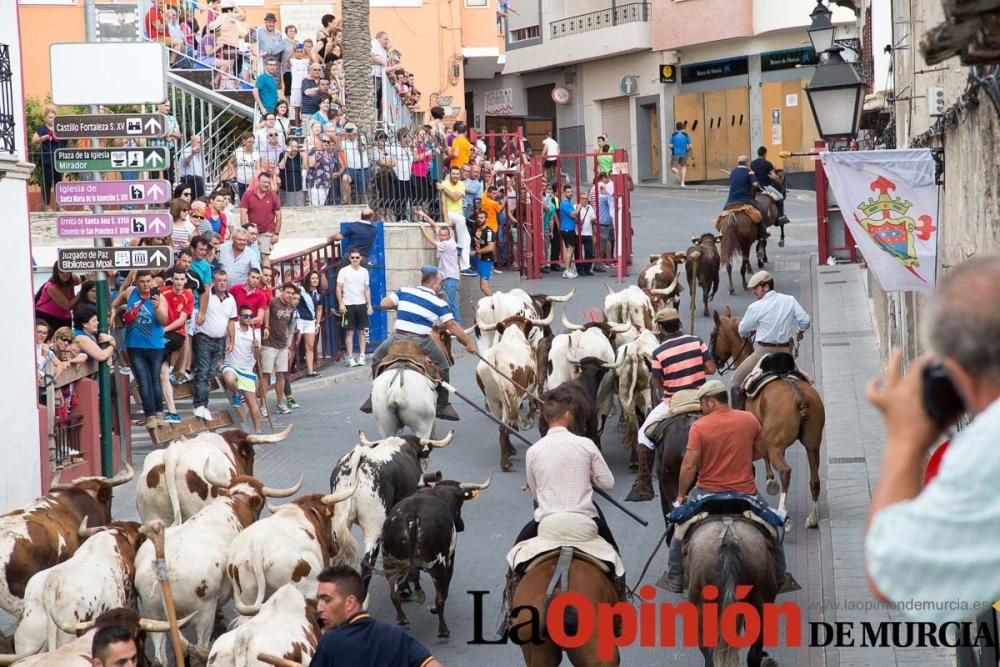 Último encierro en las Fiestas de Moratalla