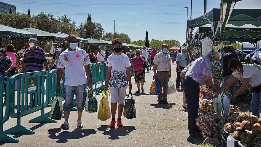 Zamora recupera las ferias de San Pedro