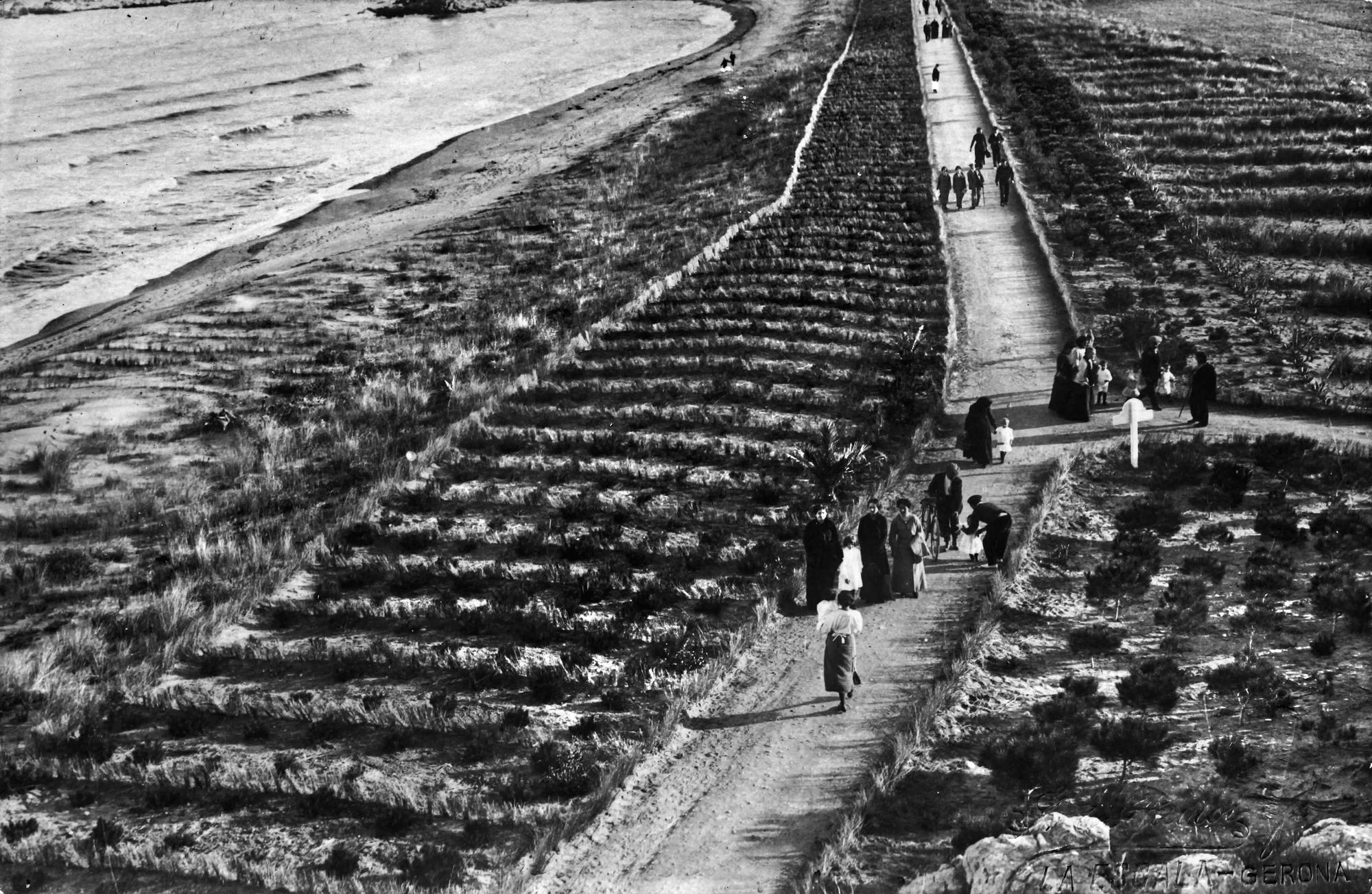 Imatge de la fixació de les dunes d'Empúries de 1896.