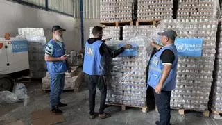 España no suspenderá los fondos a la UNRWA mientras se investiga a "10 de sus 30.000 trabajadores"