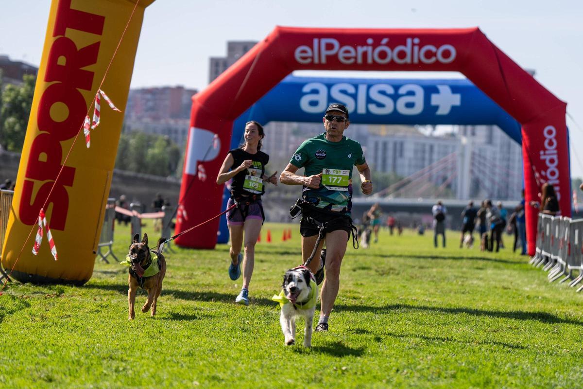 Carrera Can We Run organizada por Prensa Ibérica, El Periódico de Catalunya y SPORT , donde las personas y sus mascotas perrunas corren en familia.