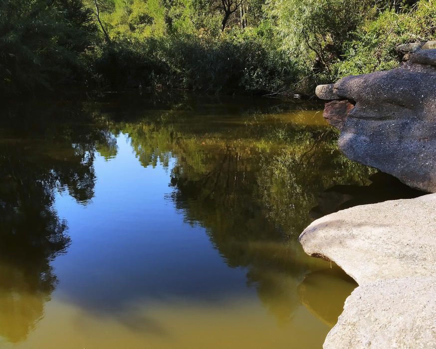 Reflexos al gorg Blau.