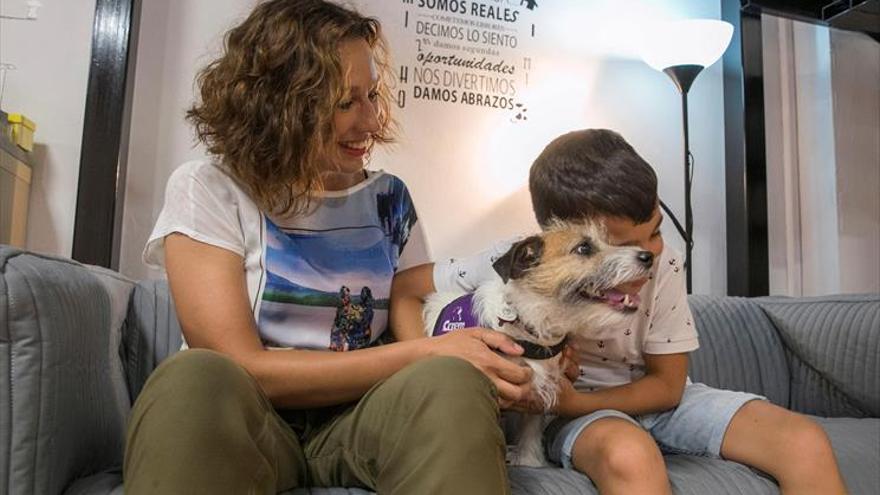 Los perros de alerta médica, dulces detectores contra diabetes y epilepsia