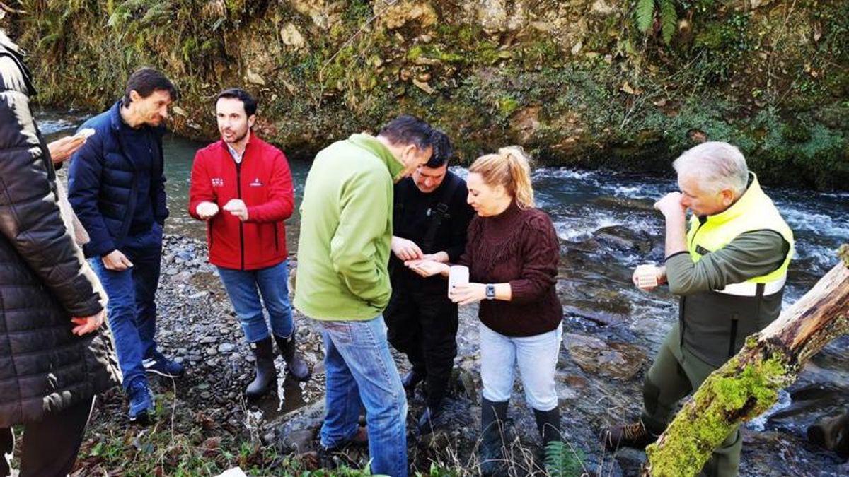 La repoblación en el río Pajares.