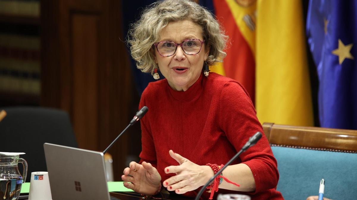 Fernanda Santana Cruz, portavoz de Madres Viva