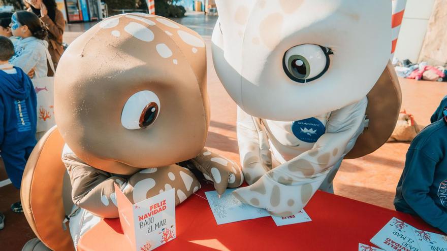 Nadal a l’Oceanogràfic amb taurons, belugues i lleons marins | PER AULA