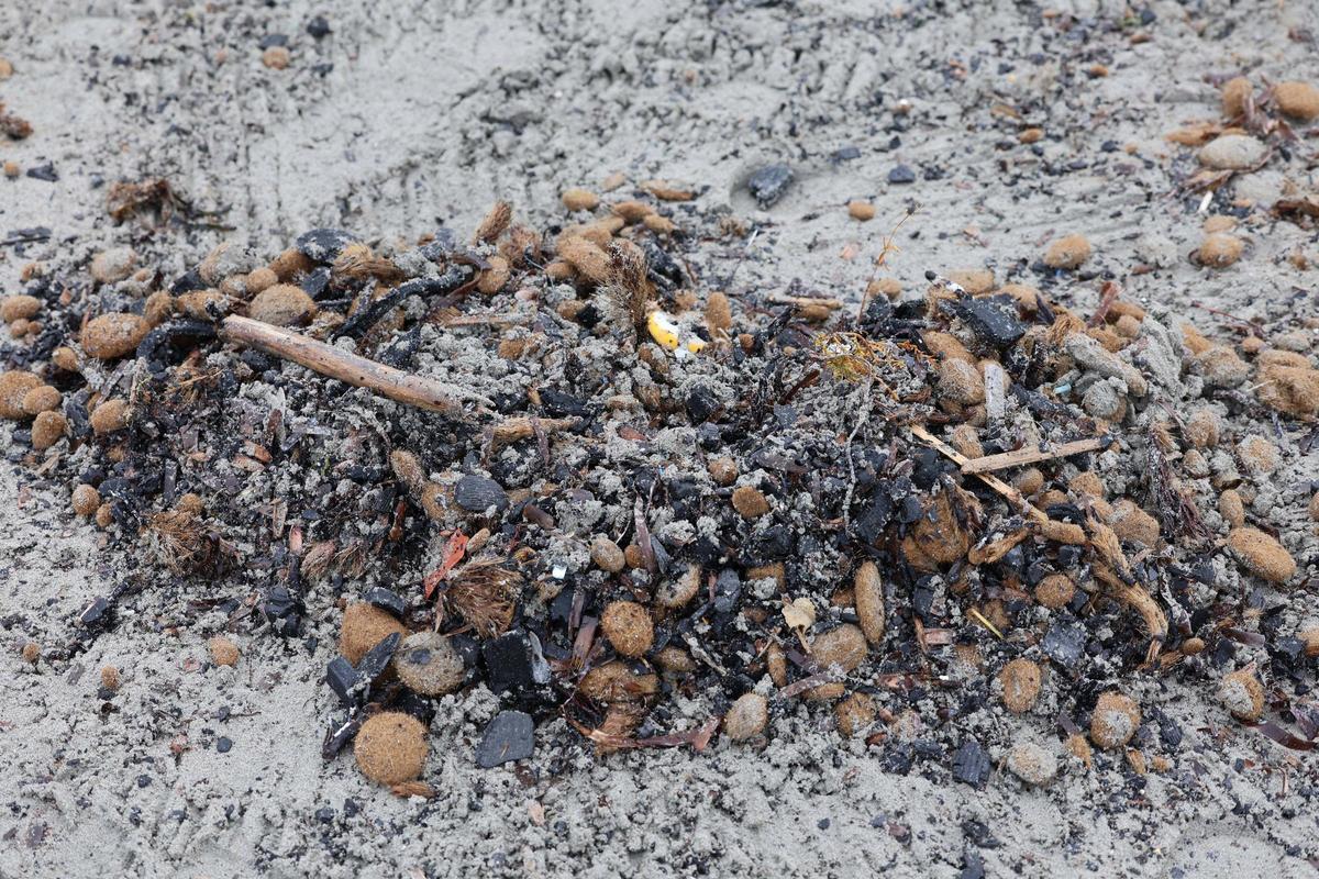 Trabajos de limpieza en la Xanga y Platja d’en Bossa de los restos del yate incendiado en Ibiza